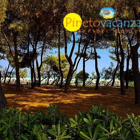 Myconos C2 - Pineto Vacanza Zewnętrze zdjęcie