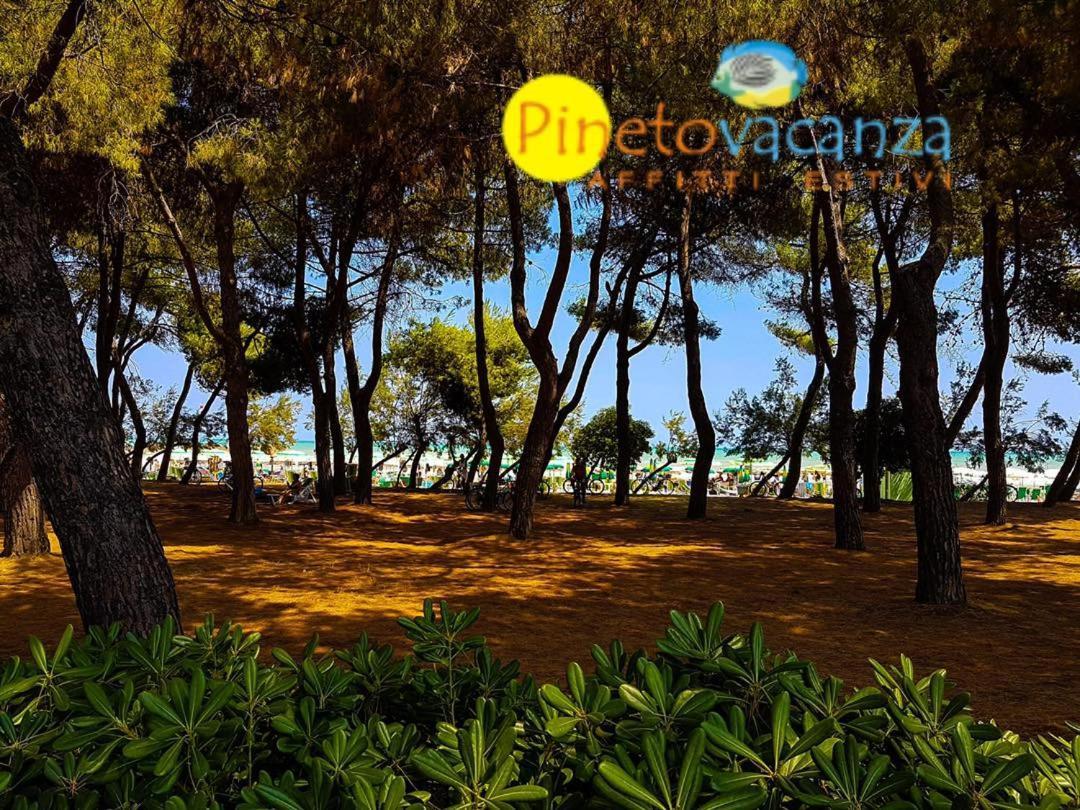 Myconos C2 - Pineto Vacanza Zewnętrze zdjęcie
